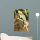 Collared Lizard Wall Mural
