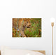 Male Leopard Wall Mural