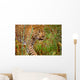Male Leopard Wall Mural