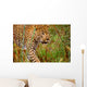 Male Leopard Wall Mural