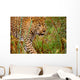 Male Leopard Wall Mural