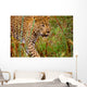 Male Leopard Wall Mural