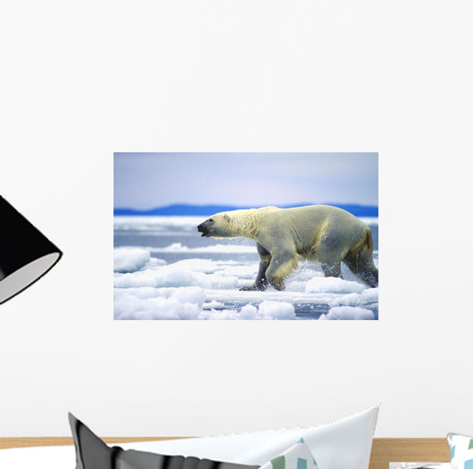 Polar Bear Running On An Ice Flow In Wager Bay, Canada Wall Mural