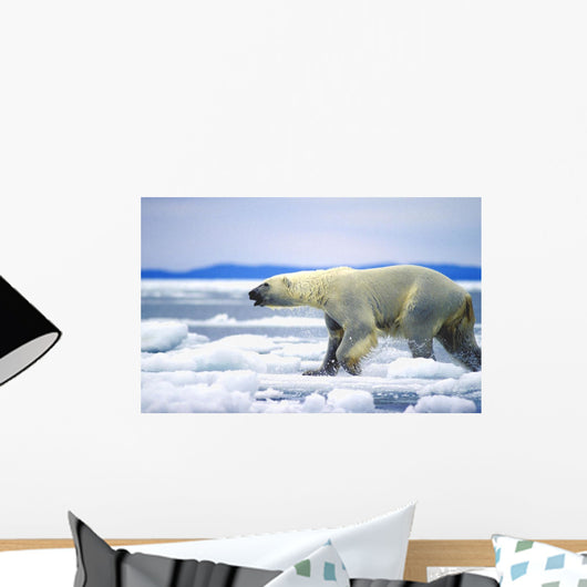 Polar Bear Running On An Ice Flow In Wager Bay, Canada Wall Mural