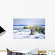 Polar Bear Running On An Ice Flow In Wager Bay, Canada Wall Mural
