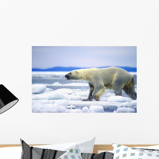 Polar Bear Running On An Ice Flow In Wager Bay, Canada Wall Mural