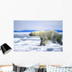 Polar Bear Running On An Ice Flow In Wager Bay, Canada Wall Mural