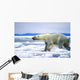 Polar Bear Running On An Ice Flow In Wager Bay, Canada Wall Mural