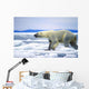 Polar Bear Running On An Ice Flow In Wager Bay, Canada Wall Mural