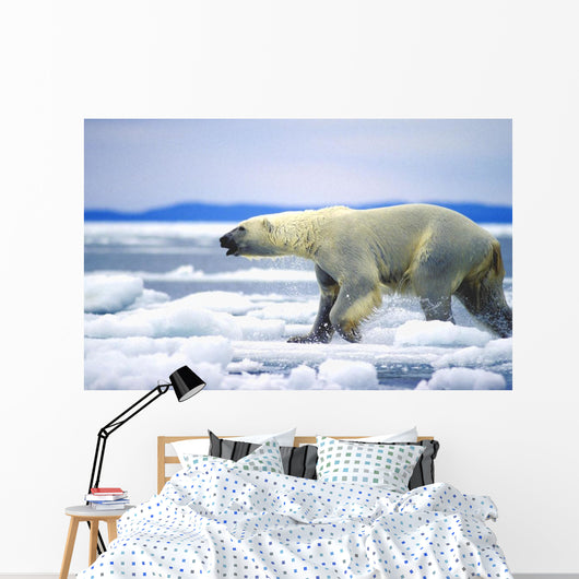Polar Bear Running On An Ice Flow In Wager Bay, Canada Wall Mural