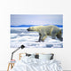 Polar Bear Running On An Ice Flow In Wager Bay, Canada Wall Mural