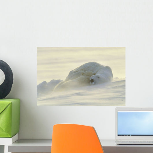 Polar Bears Sleeping At Sunset Wall Mural