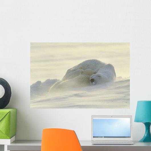 Polar Bears Sleeping At Sunset Wall Mural