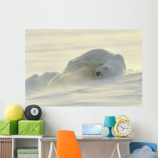 Polar Bears Sleeping At Sunset Wall Mural