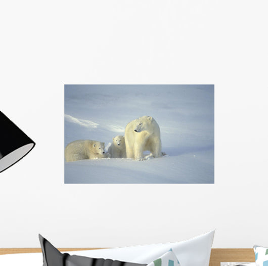 Polar Bears With Cubs Wall Mural