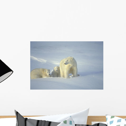 Polar Bears With Cubs Wall Mural