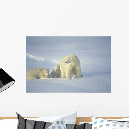 Polar Bears With Cubs Wall Mural