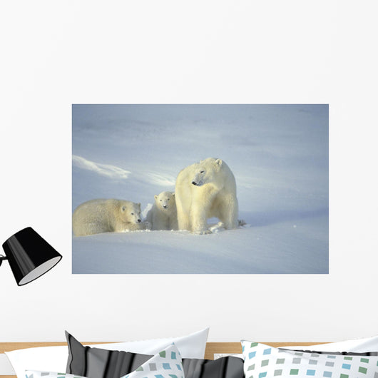 Polar Bears With Cubs Wall Mural