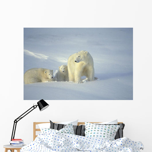 Polar Bears With Cubs Wall Mural