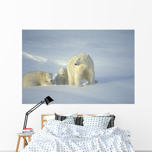 Polar Bears With Cubs Wall Mural