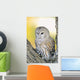 Barred Owl Roosting In Tree Wall Mural