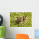 Bobcat Kittens Wall Mural