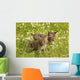 Bobcat Kittens Wall Mural