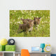Bobcat Kittens Wall Mural