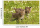 Bobcat Kittens Wall Mural