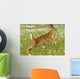 White Tailed Deer Fawn In Field Of Spring Flowers Wall Mural