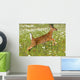White Tailed Deer Fawn In Field Of Spring Flowers Wall Mural