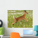 White Tailed Deer Fawn In Field Of Spring Flowers Wall Mural