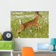White Tailed Deer Fawn In Field Of Spring Flowers Wall Mural