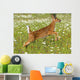 White Tailed Deer Fawn In Field Of Spring Flowers Wall Mural