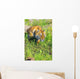 Bengal Tigress On The Prowl Wall Mural