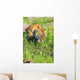 Bengal Tigress On The Prowl Wall Mural