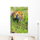 Bengal Tigress On The Prowl Wall Mural