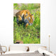 Bengal Tigress On The Prowl Wall Mural