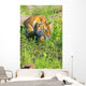 Bengal Tigress On The Prowl Wall Mural