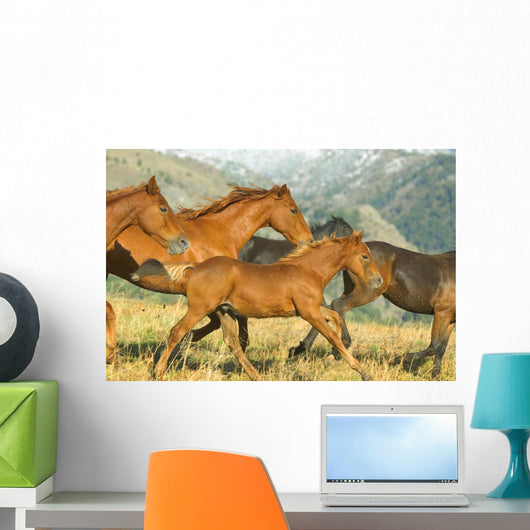 Running Horses Wall Mural