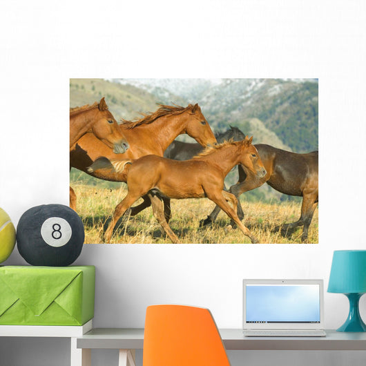 Running Horses Wall Mural