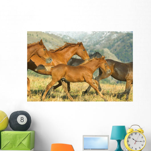 Running Horses Wall Mural