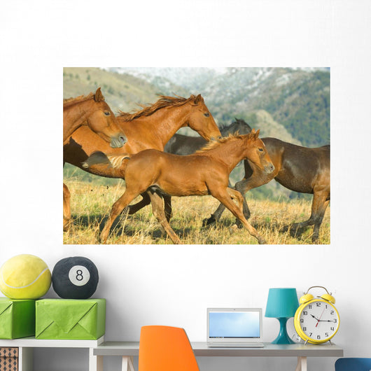 Running Horses Wall Mural