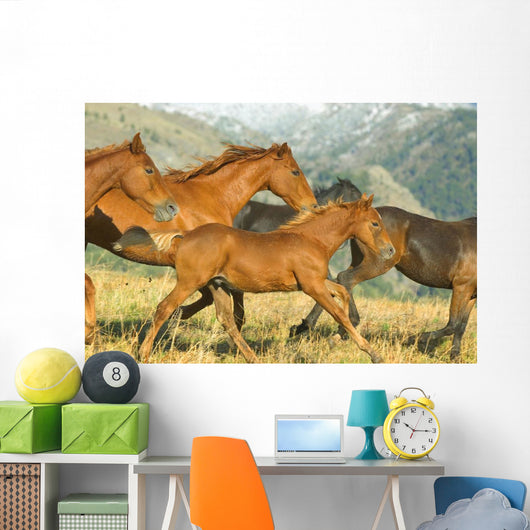 Running Horses Wall Mural