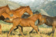 Running Horses Wall Mural
