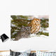 Two Screech Owls Wall Mural