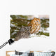 Two Screech Owls Wall Mural