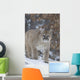 Cougar In Snowfall Wall Mural