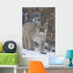 Cougar In Snowfall Wall Mural