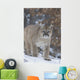 Cougar In Snowfall Wall Mural